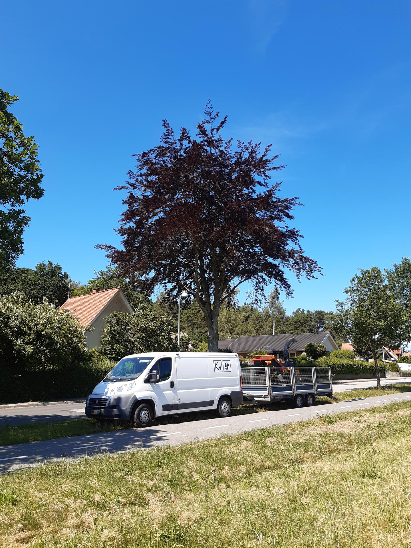 KM i fuld aktion med motor saven