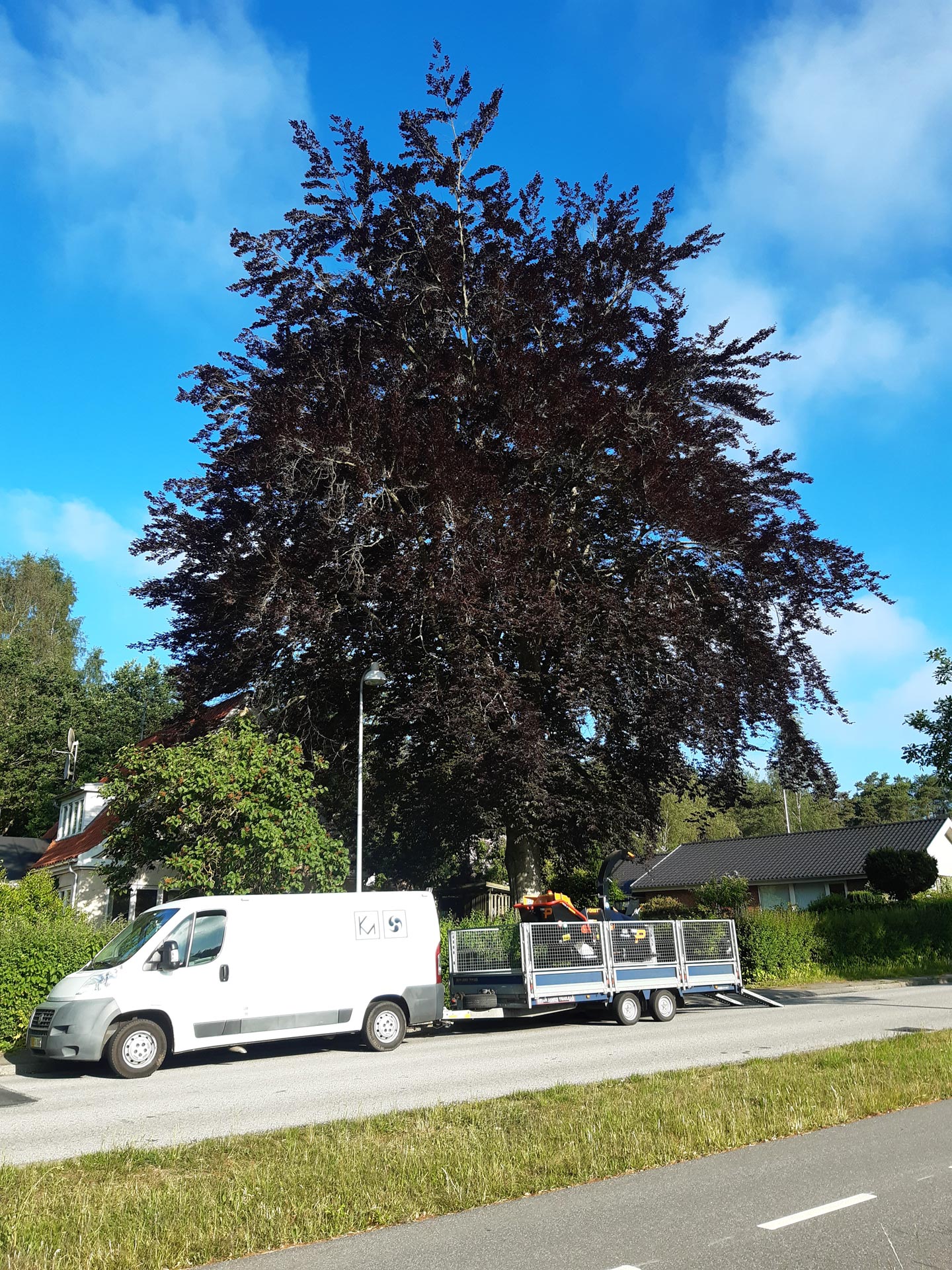 KM i fuld aktion med motor saven